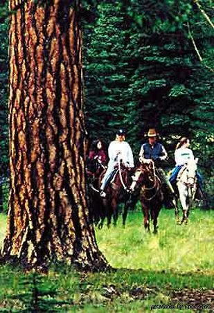 Quality Lakeside Pinetop-Lakeside