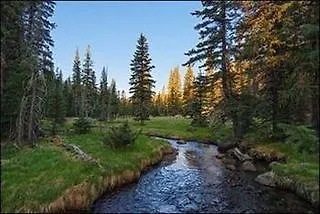 Quality Lakeside Gasthof Pinetop-Lakeside